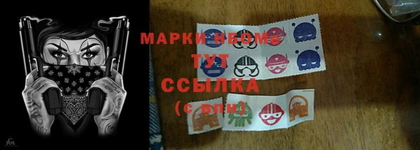 шишки Алексин