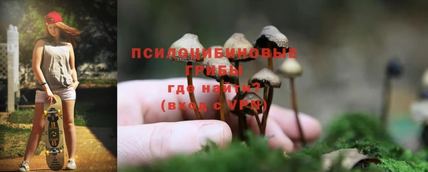 шишки Алексин