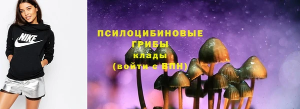 МДПВ Алексеевка