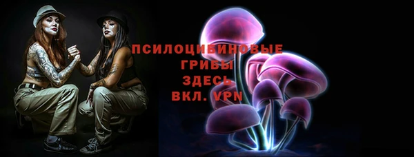 шишки Алексин