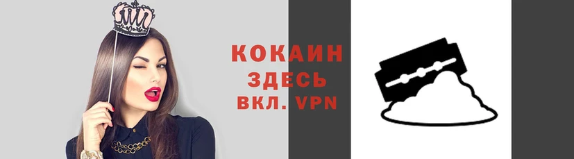шишки Алексин