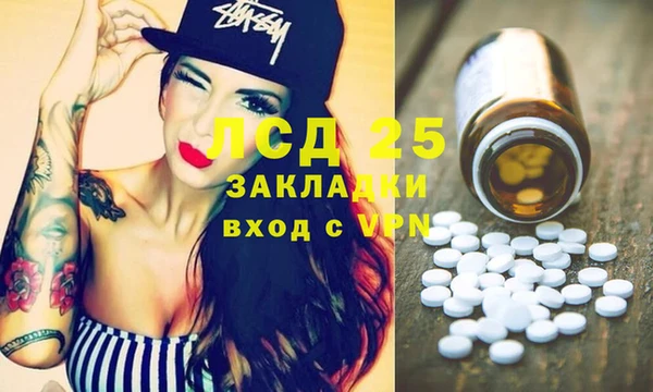 крисы Ростов
