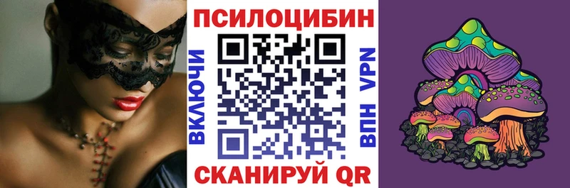 Галлюциногенные грибы MAGIC MUSHROOMS  купить  сайты  Буй 